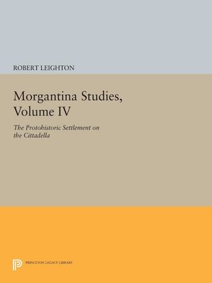 cover image of Morgantina Studies, Volume IV